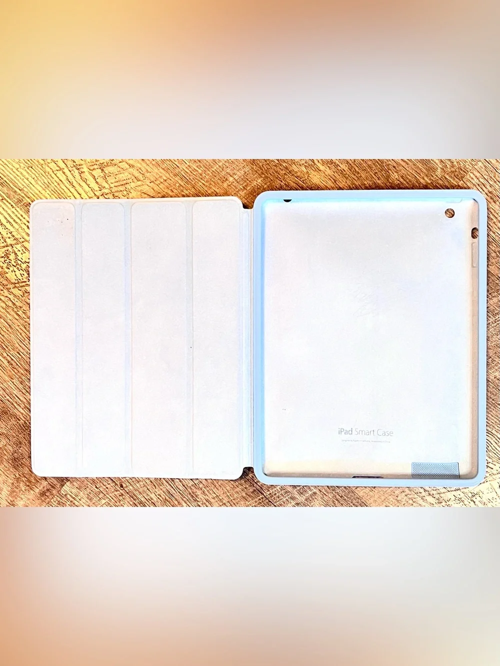 Apple genuine ipad
